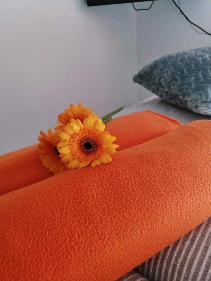 Apartman Radic Trogir Exteriör bild