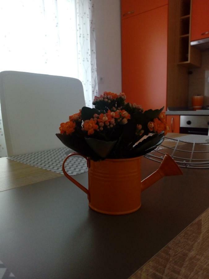 Apartman Radic Trogir Rum bild